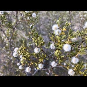 Meet your Posher, Mina